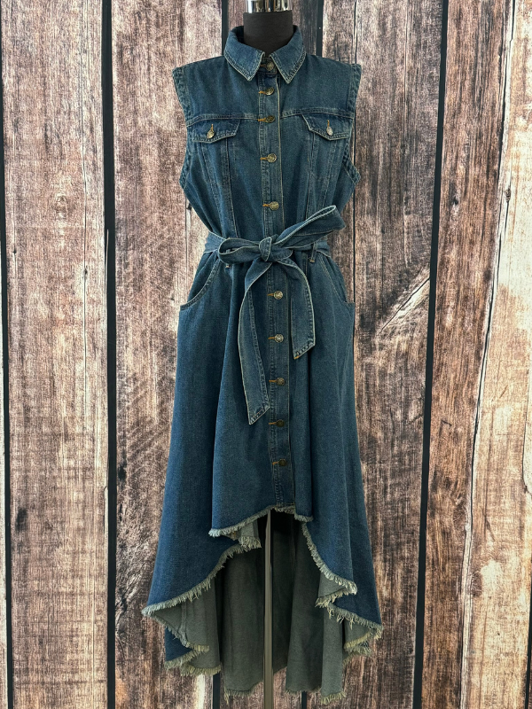 True Denim Dress By Flying Tomato