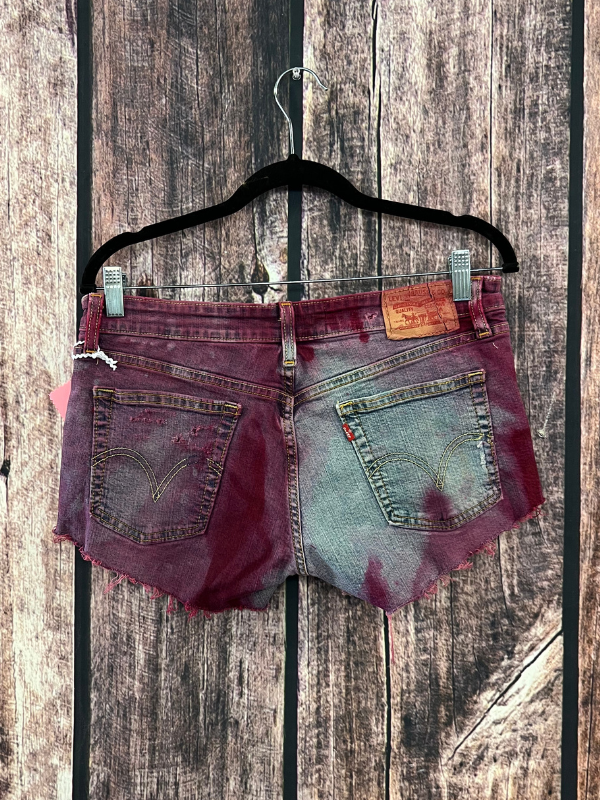 Half Dyed Shorts By Marti Rae #196