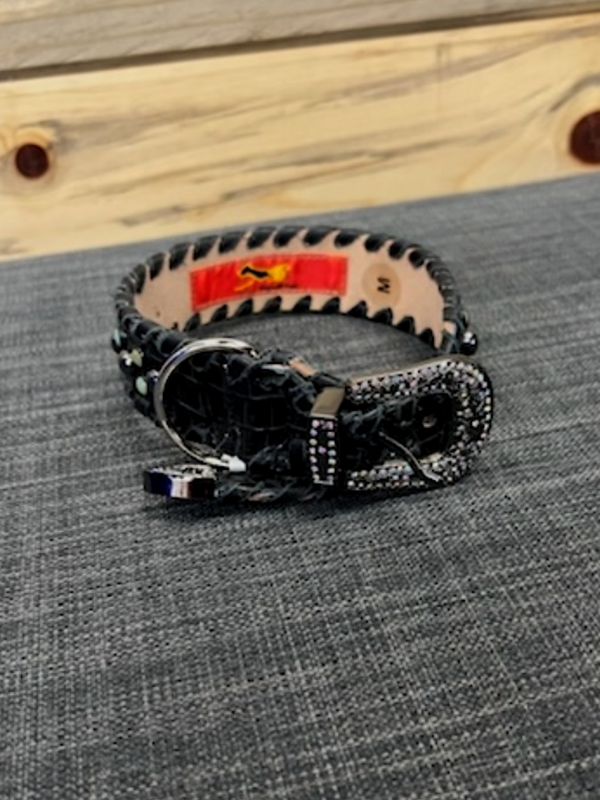 Black & Turquoise Kurtmen Dog Collar