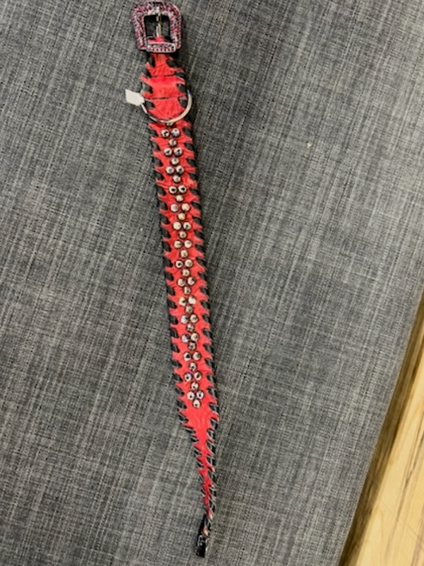 Red Kurtmen Dog Collar