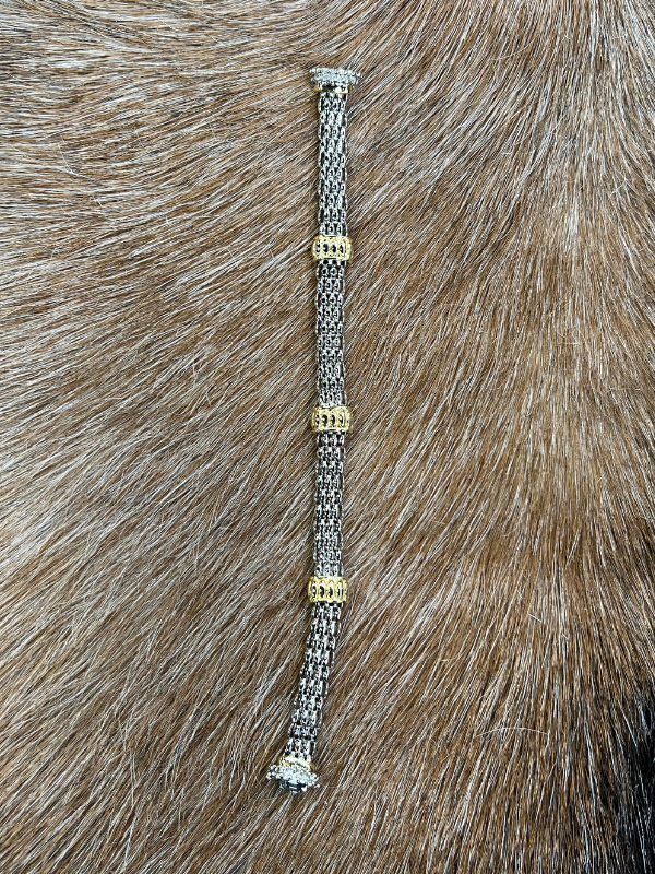 Twisted Silver with Gold Charms Bracelet