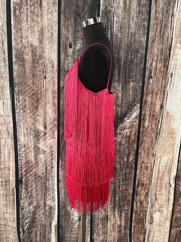 Pink Fringe Dress