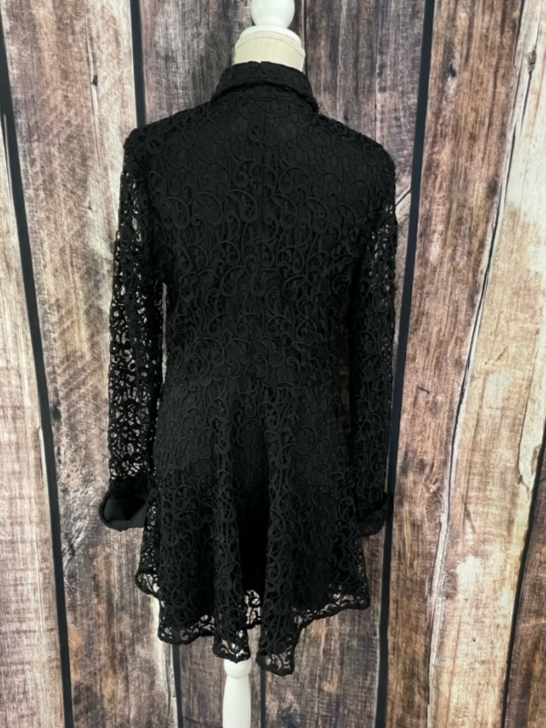 Full Sleeved Lace Dress