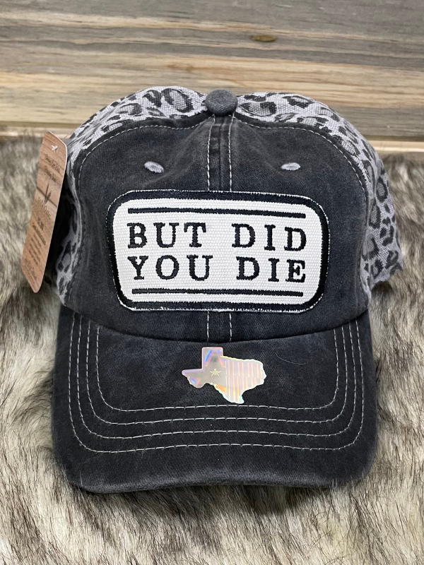 But Did You Die Baseball Cap